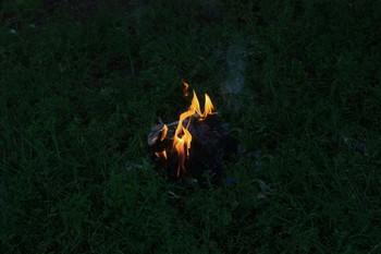 Flame / ***