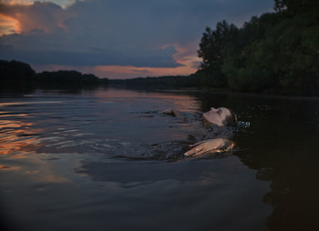 Poise, doubly so after a spike relive / ***