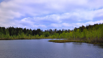 Spring story / ...