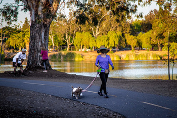&quot;Lady with a Lapdog&quot; / ....