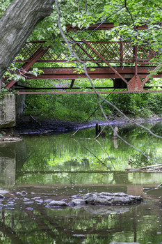 Hiding in the Trees / This small bridge was hiding in the trees