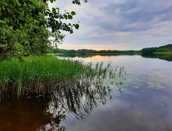 backwater / ***