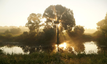 July morning / ***