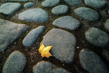 Two loneliness / ***