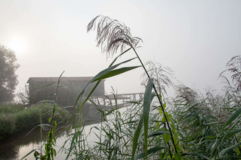 Morning Fishing / ...