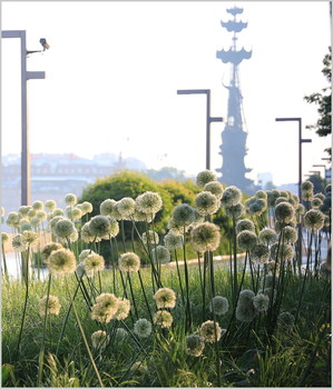 Dotyanutsya heaven / ***