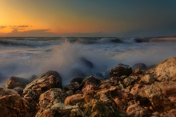 surf / ***