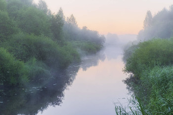 Misty River Banks / ***