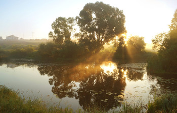 July morning / ***