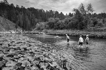 Walking on water / ***