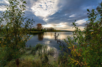 An evening walk / ***