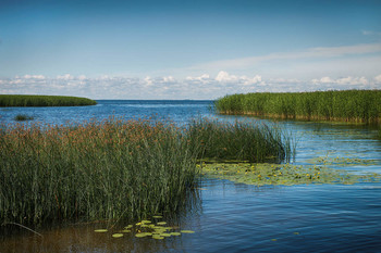 July afternoon / ***