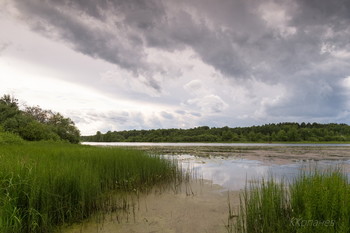 Before the storm / ***