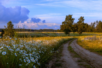 Landscape / ***