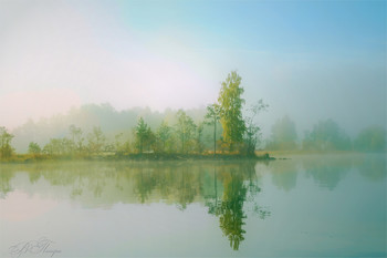 Fog dissipates / ***