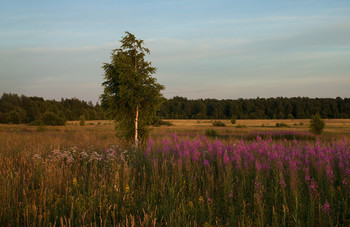 At sunset / ***
