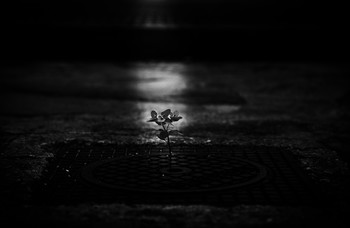   / \\\