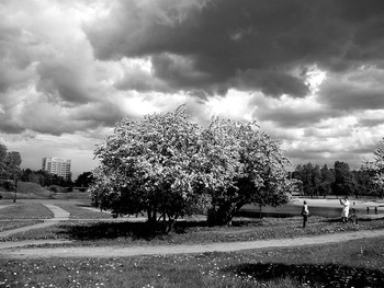 Summer walk / ***
