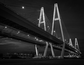Night Bridge / ***