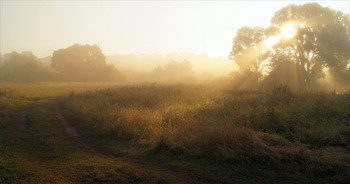 July morning / ***