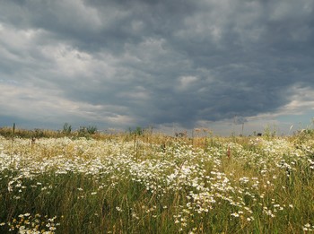 On the outskirts / ***