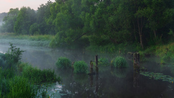 Morning on the river / ...