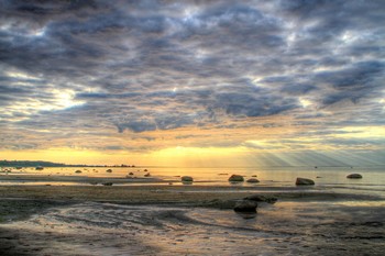 Rays / ***