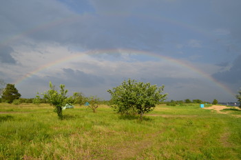 After the rain / ***