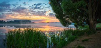 Morning on the lake / ...