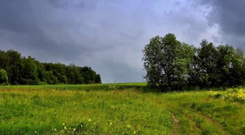 Storm coming / ***