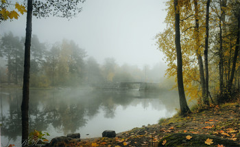 Bridge in the fog / ***