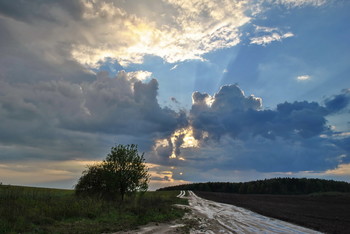 After the rain / ***