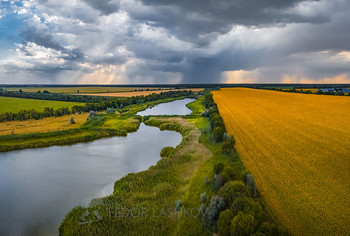 The July storm / ***