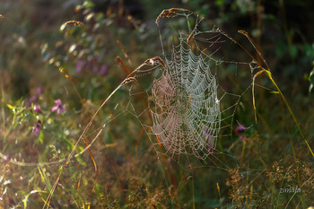 Autumn Breath / ***