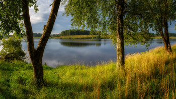 Fog dissipates / ...