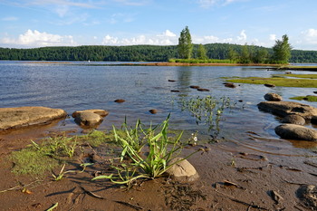 At the river. / ***