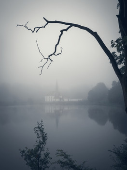 Foggy morning. / ***