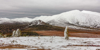 First snow / ***