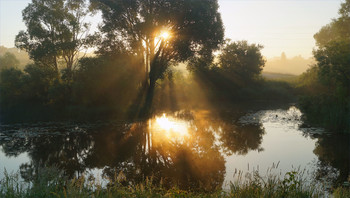 Summer morning on the river / ***