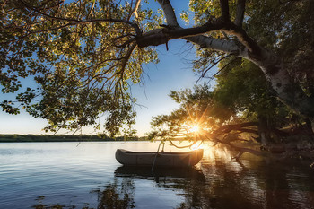 At the end of the day / ***