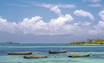 Fog dissipates / ***