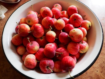 Apples / ***