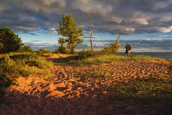 Summer evening. / ***