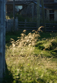 at the end of summer / ***