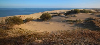 The Curonian Spit / ***