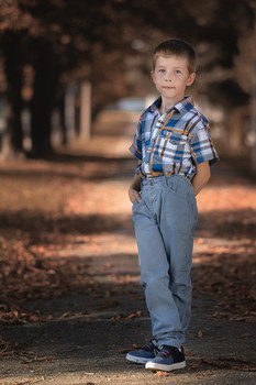 portrait of his son / ***