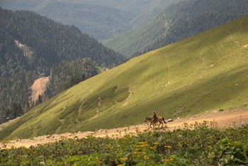 Caucasus. / ***