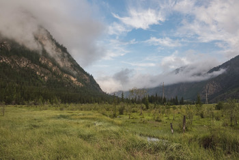 &nbsp; / [img]https://i.imgur.com/oipjhjE.jpg[/img]
