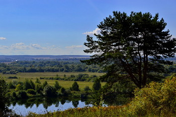Summer landscape / ***