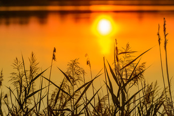 Sunset / ***